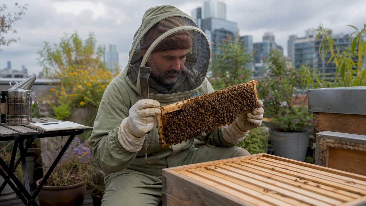 BBKA approved hive management practices: 2026 guide